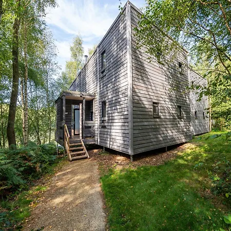 Elegant Forest Mansion *