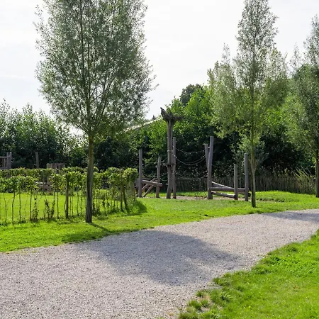 別荘 Elegant Forest Mansion