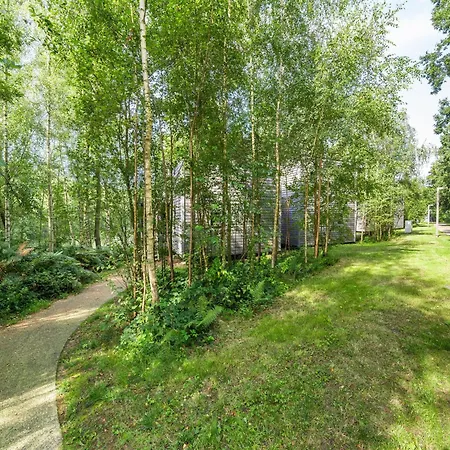 Elegant Forest Mansion