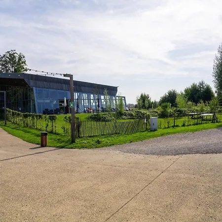 Elegant Forest Mansion *